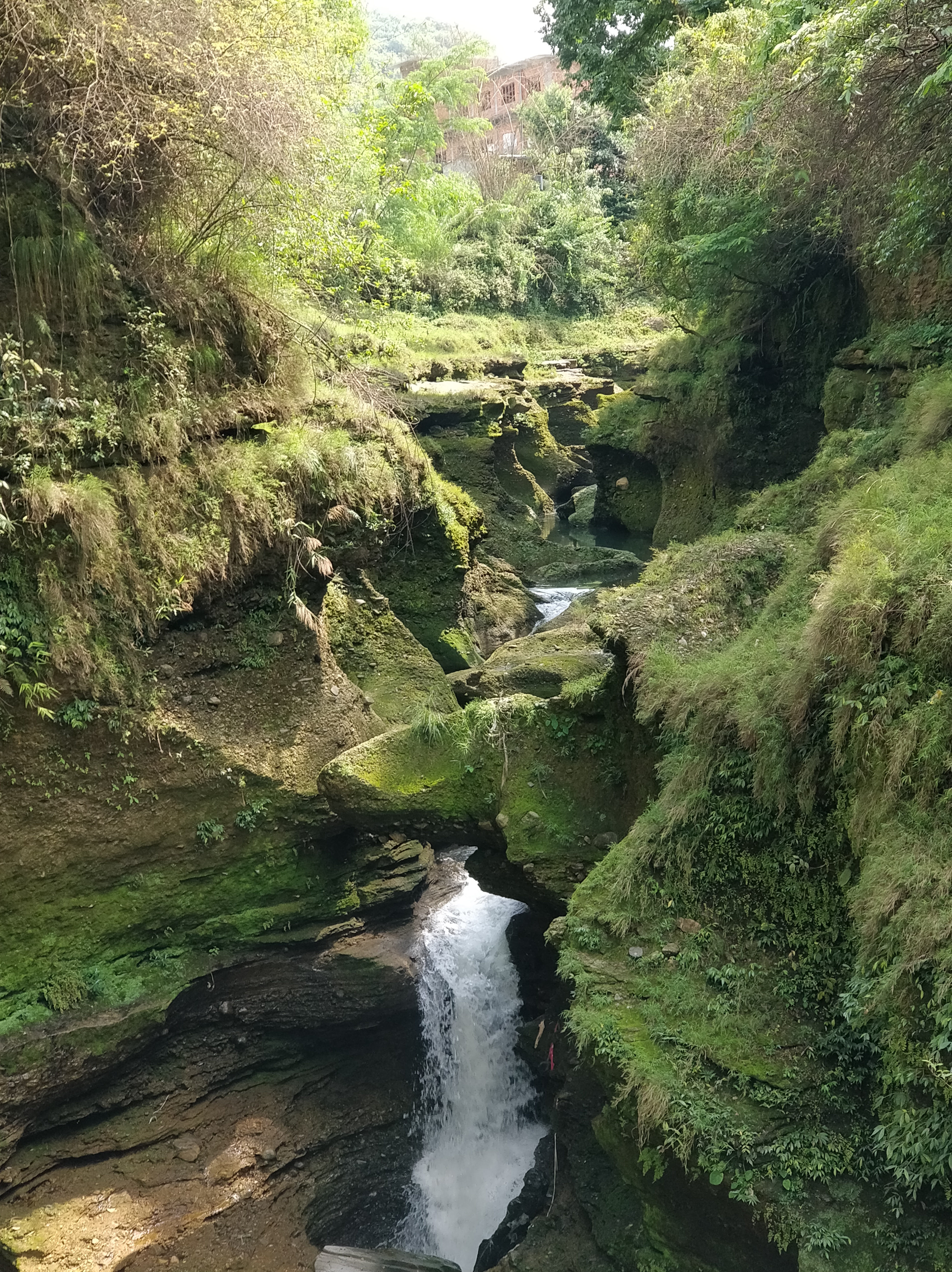 Devi’s Fall Pokhara (पाताले छाँगो) streaming through a green rock gorge